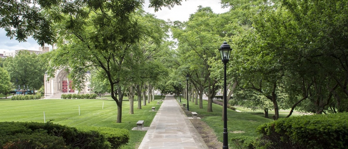 Image of tree lined pathway with chapel in background 